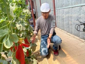 网红吃瓜打卡地,揭秘热门吃瓜圣地背后的故事